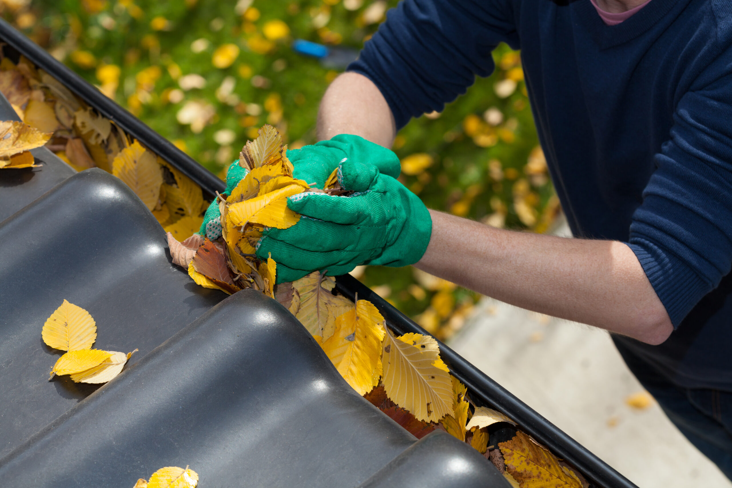 person removing leaves from gutter with two gloved hands