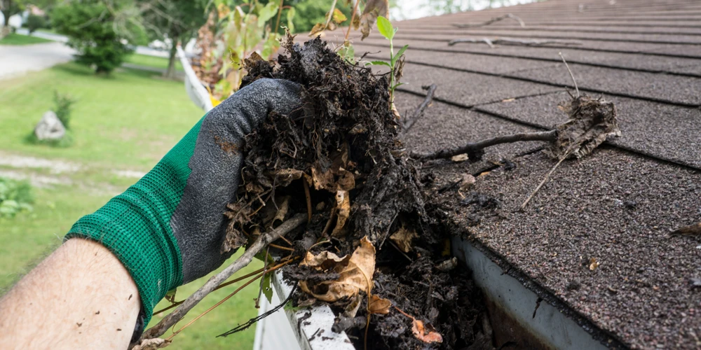 Man removing debris from roof gutter. Featured image for “How Often Should You Clean Your Gutters”